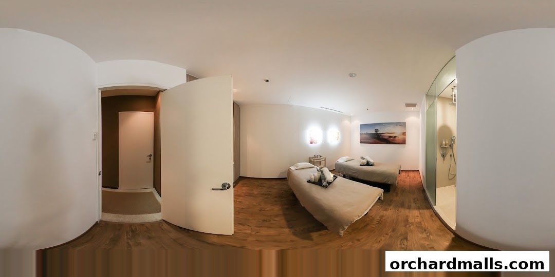 Interior view of a spa room with two massage beds and a shower area.