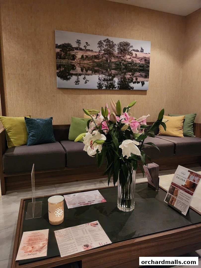 A serene spa waiting area with a couch, flowers, and brochures on a coffee table.