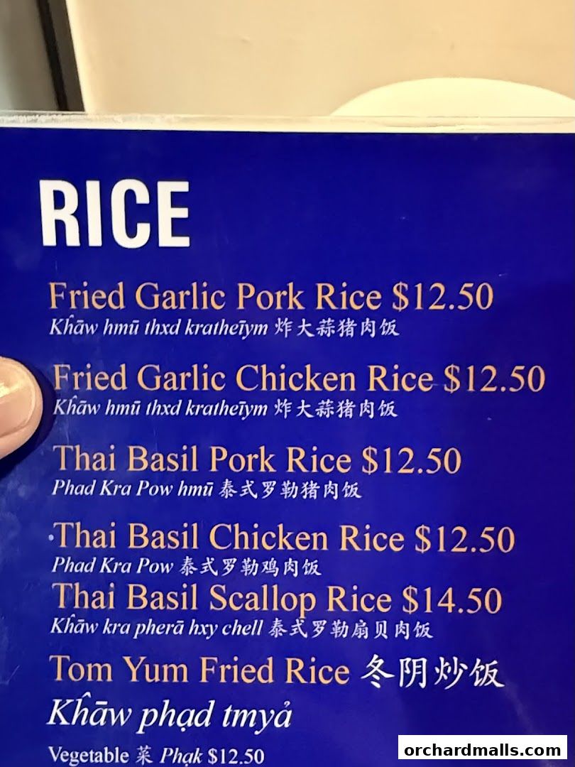 A close-up of a menu featuring various rice dishes from New Udon Mookata Thai Food.