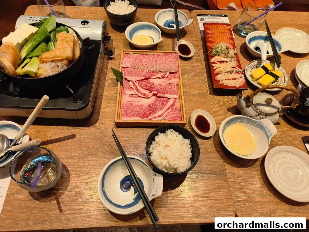 A table laden with a Japanese hot pot, thinly sliced raw beef, salmon sashimi, and rice.
