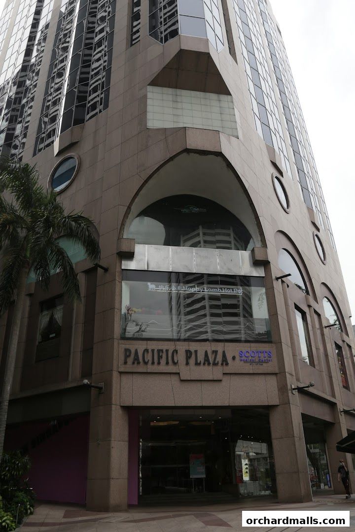 Exterior of Pacific Plaza building with a palm tree and entrance.