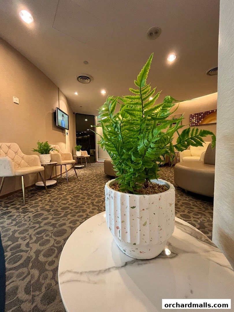 A waiting area with comfortable chairs, a television, and a potted fern.