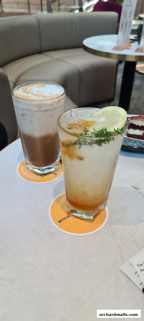 OCoffee Club Indulgence Paragon