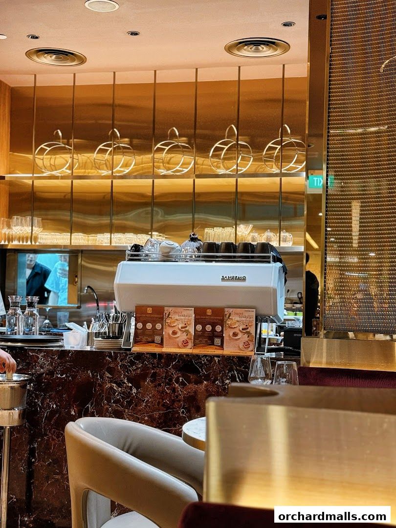 OCoffee Club Indulgence Paragon