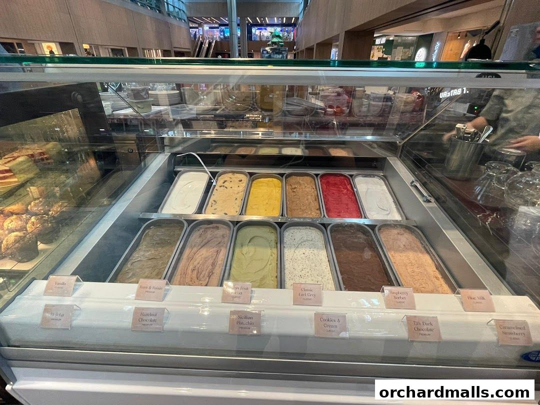 OCoffee Club Indulgence Paragon