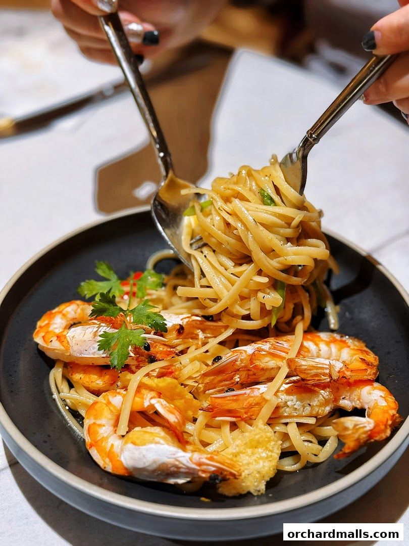 OCoffee Club Indulgence Paragon