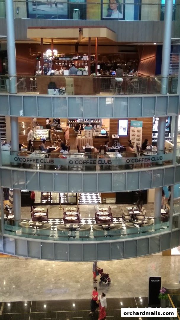 OCoffee Club Indulgence Paragon