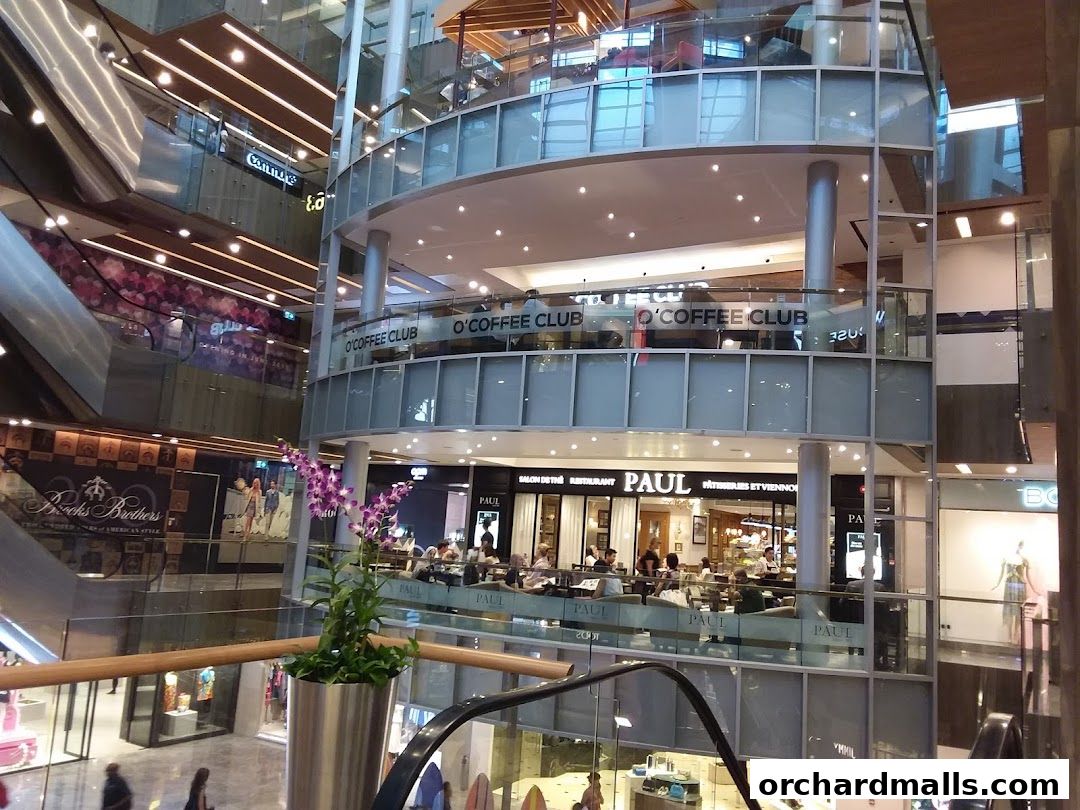 OCoffee Club Indulgence Paragon