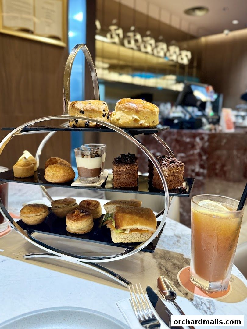 OCoffee Club Indulgence Paragon