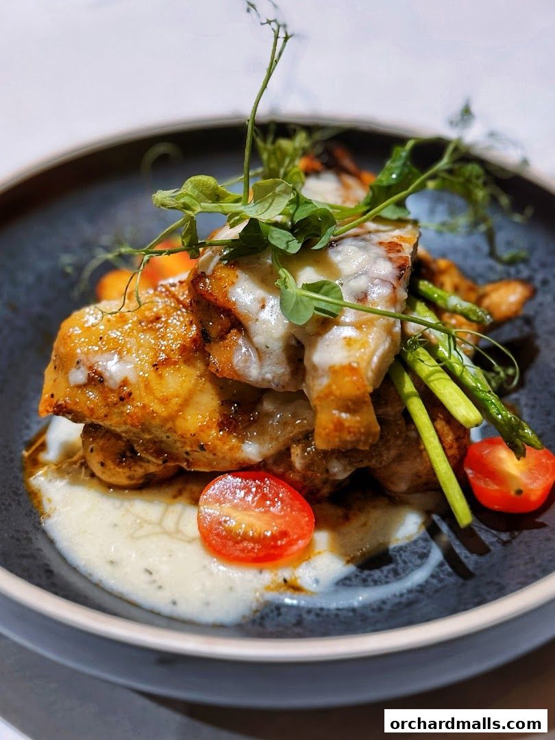 OCoffee Club Indulgence Paragon