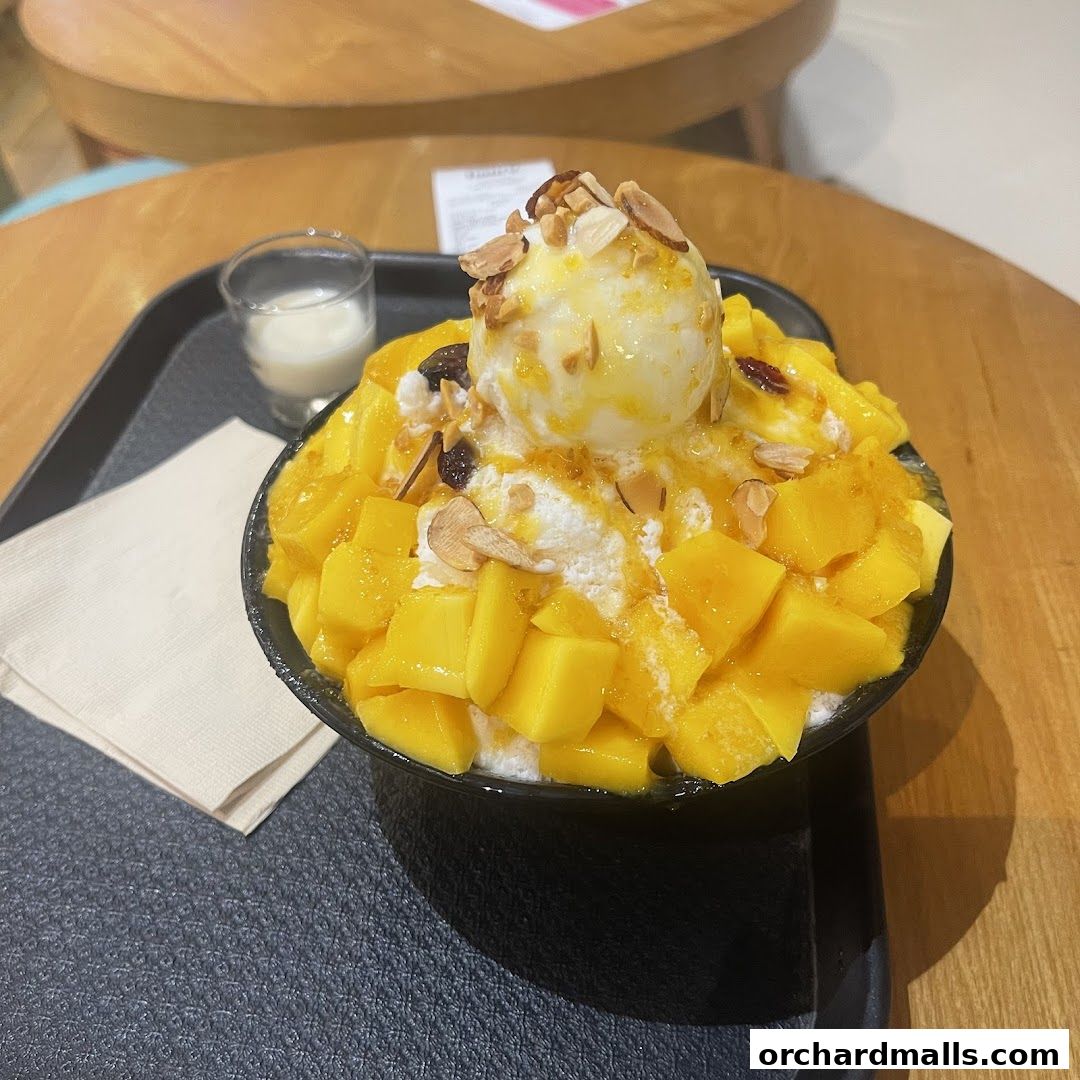 Oma Spoon Korean Dessert Cafe  Authentic Bingsu  Waffles 313Somerset