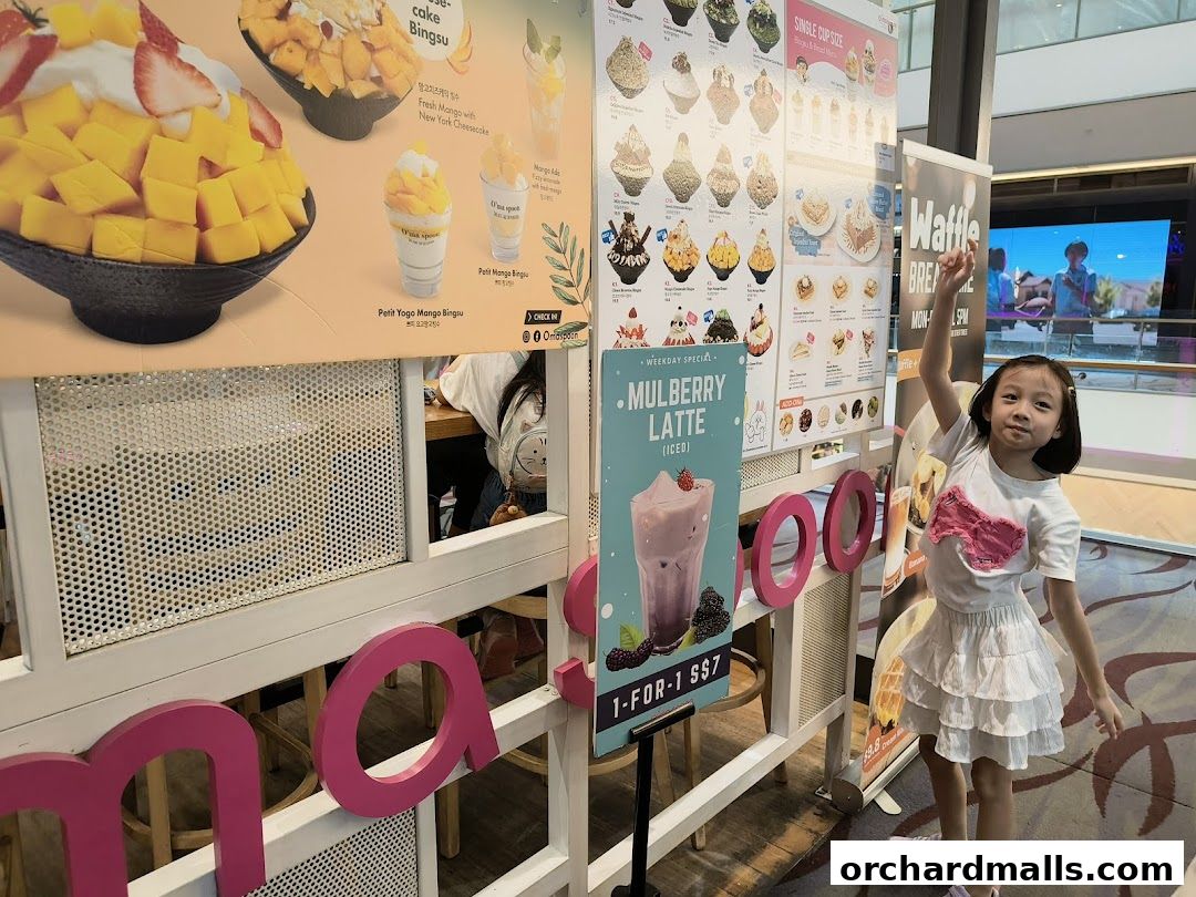 Oma Spoon Korean Dessert Cafe  Authentic Bingsu  Waffles 313Somerset