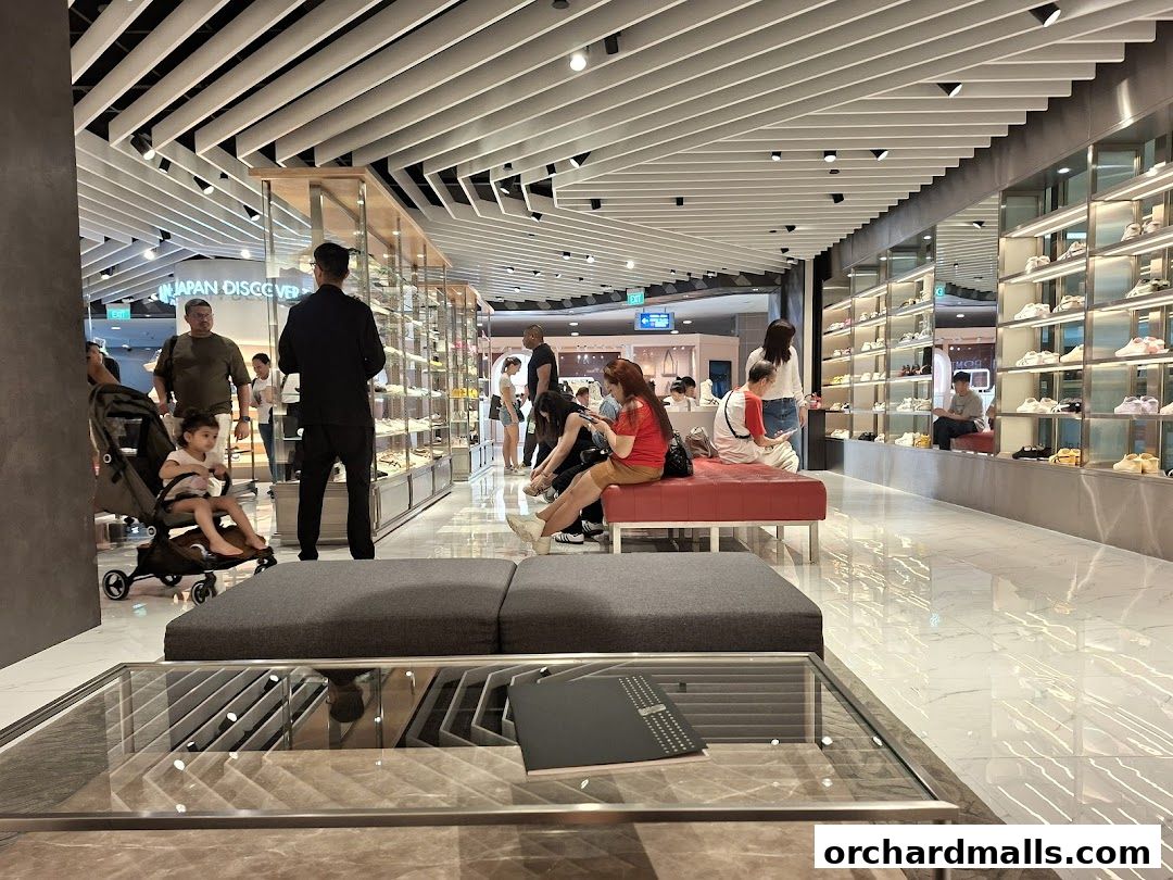 Interior of a modern shoe store with shelves displaying sneakers and customers browsing.