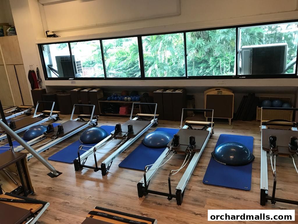 Interior of a Pilates studio with reformers, mats, and Bosu balls.