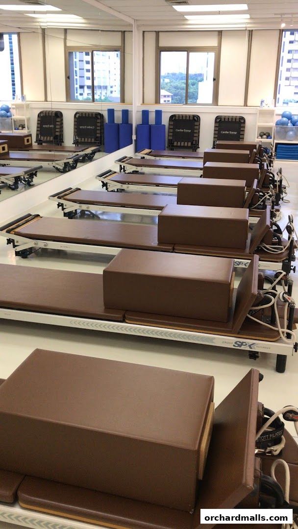 Interior of a Pilates studio with multiple reformers and equipment arranged neatly.