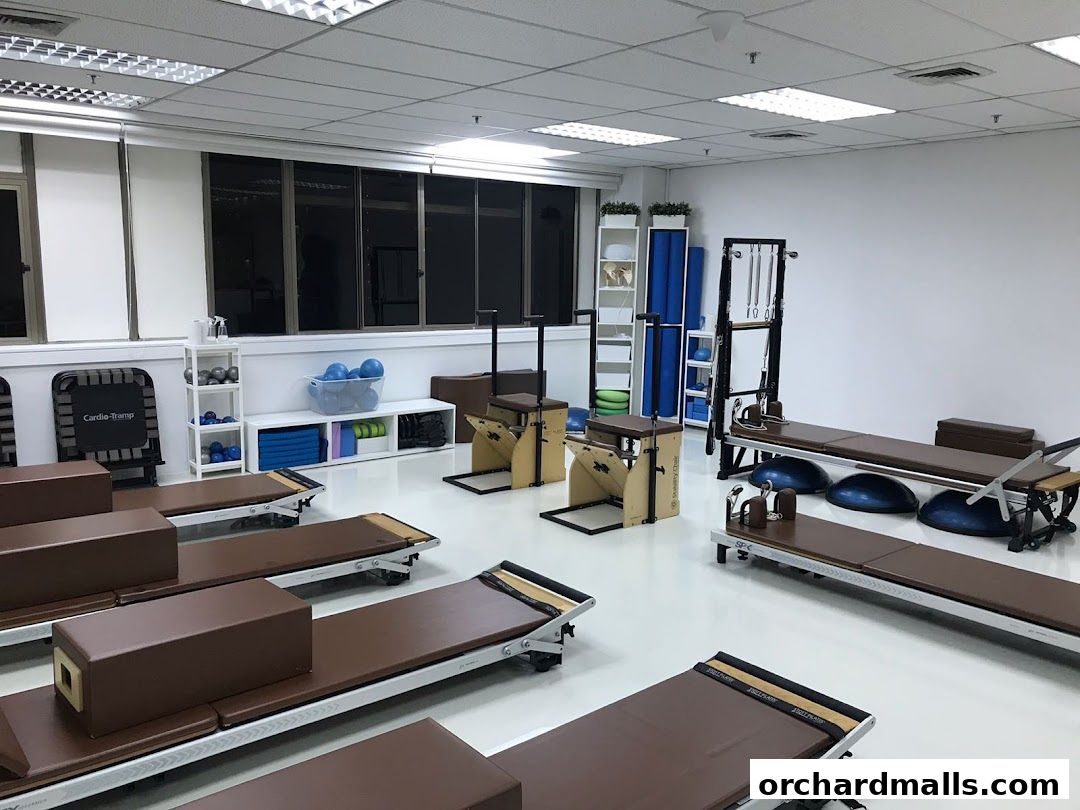 Interior of a Pilates studio with reformers, chairs, and various exercise equipment.