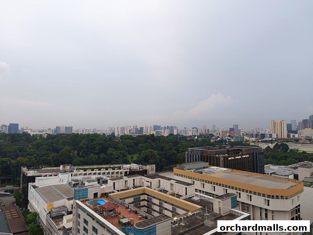 Orchard Central Rooftop Garden