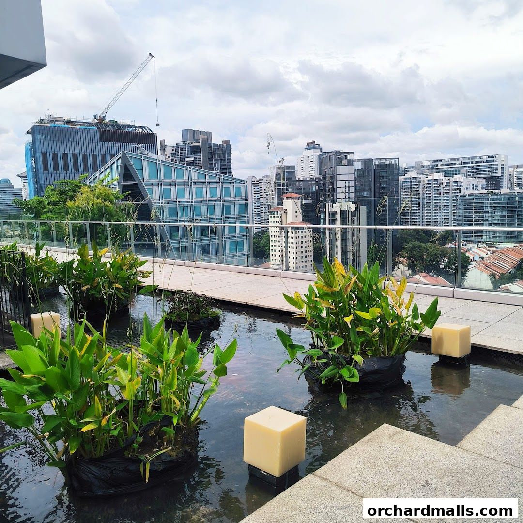 Orchard Central Rooftop Garden