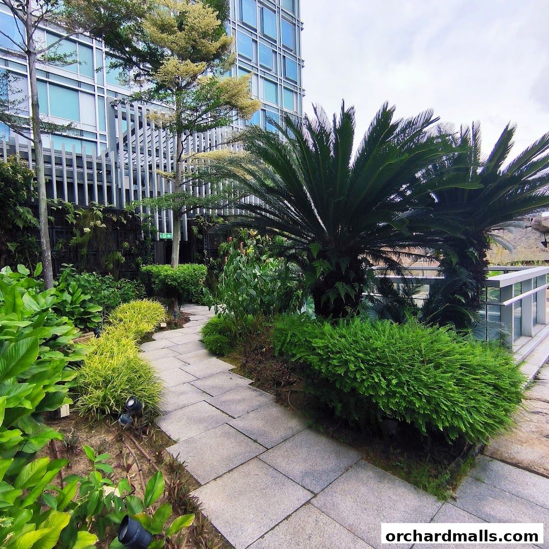 Orchard Central Rooftop Garden