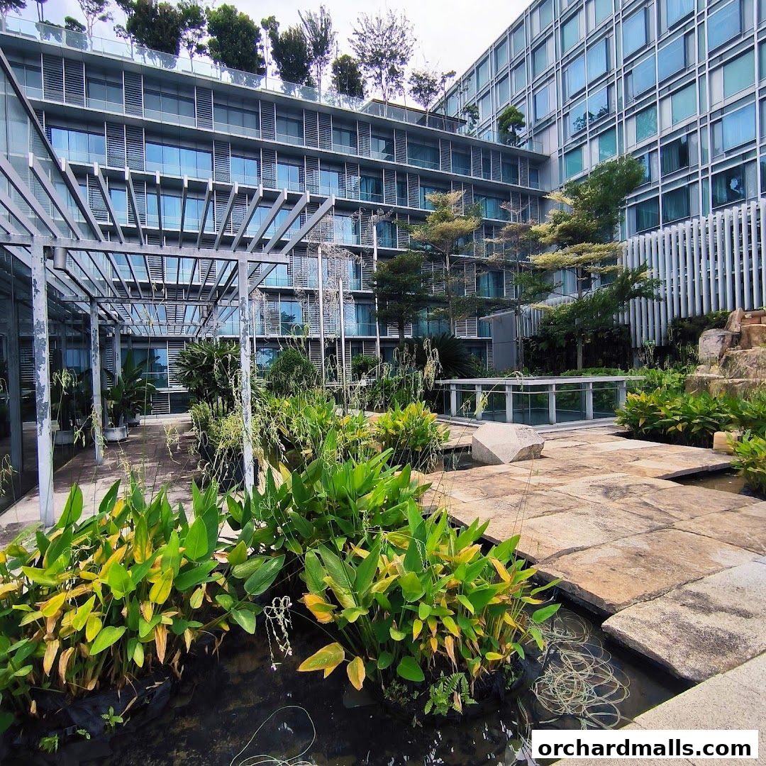 Orchard Central Rooftop Garden