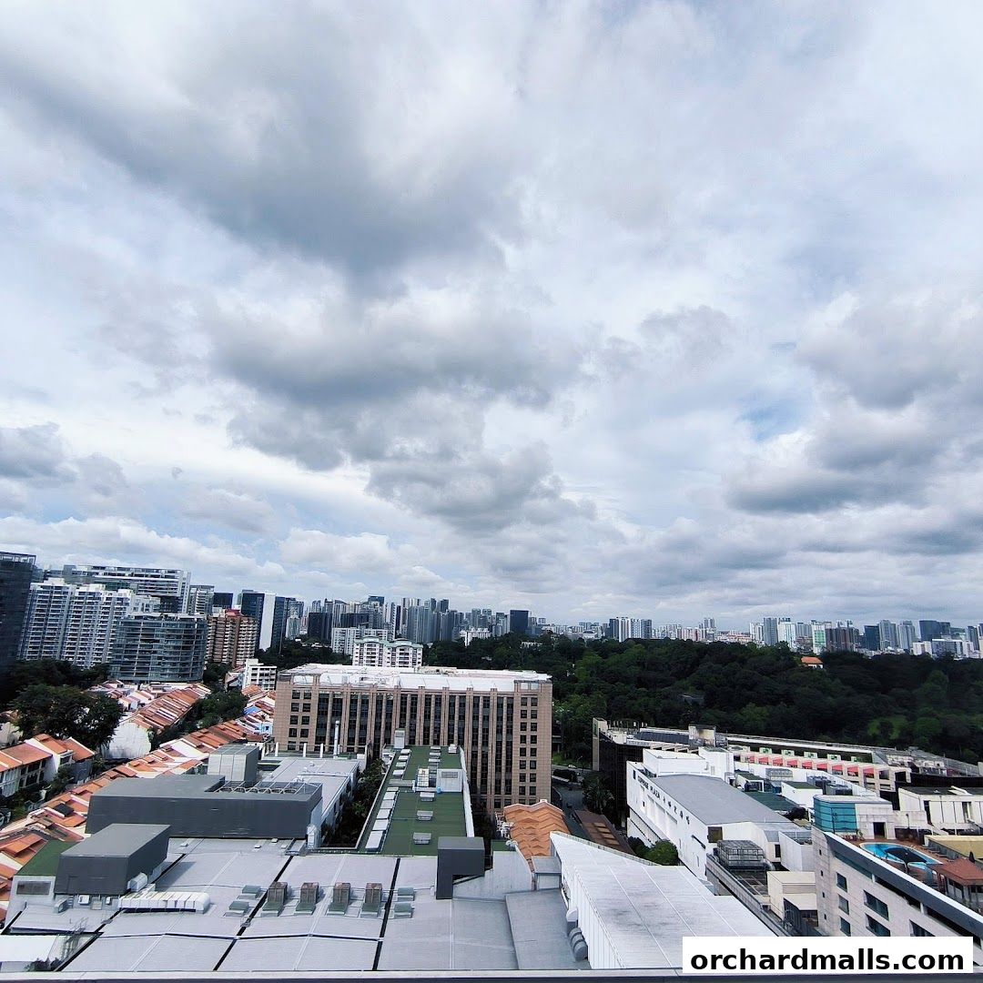 Orchard Central Rooftop Garden