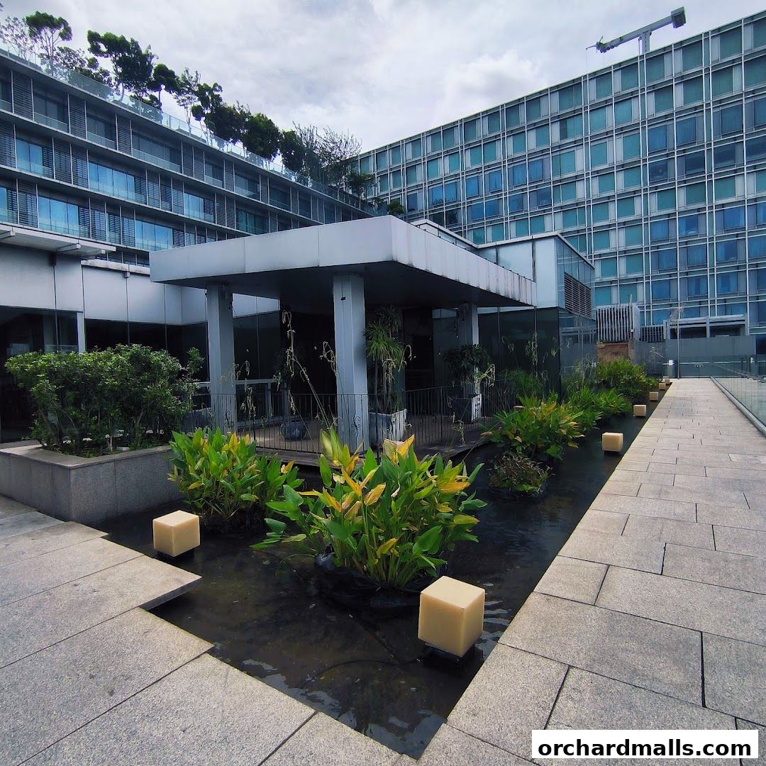 Orchard Central Rooftop Garden