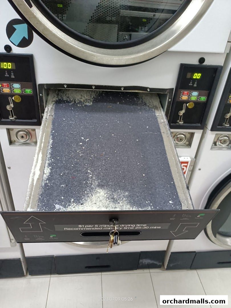 Close-up of a laundromat dryer lint trap filled with lint and debris.