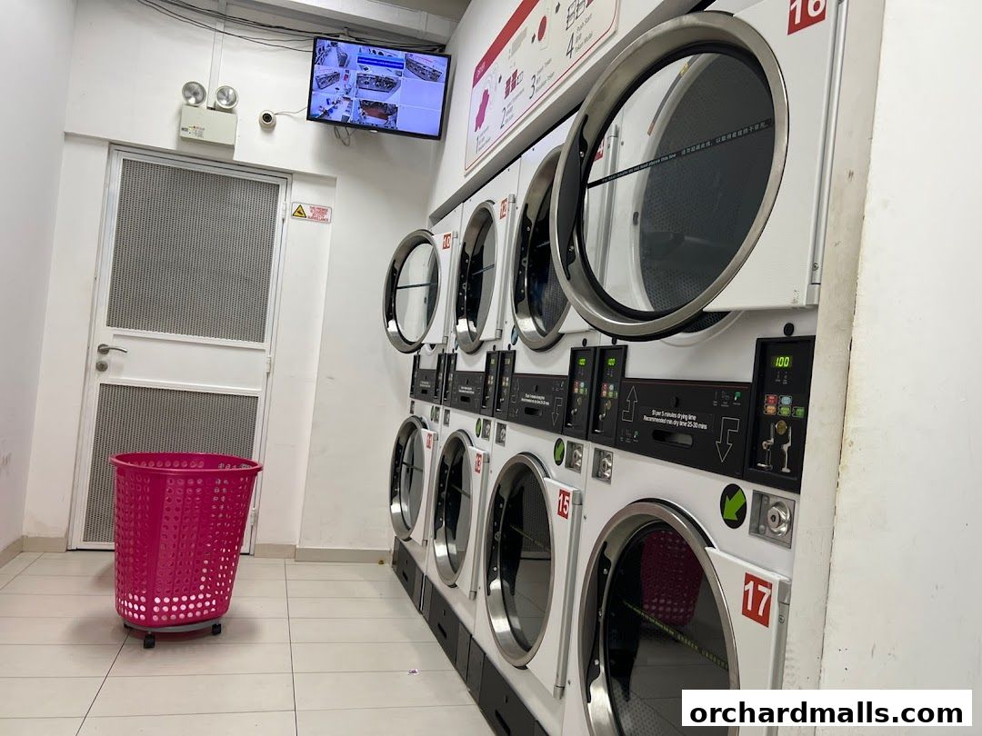 Interior of a laundromat with rows of washing and drying machines and a pink laundry basket.