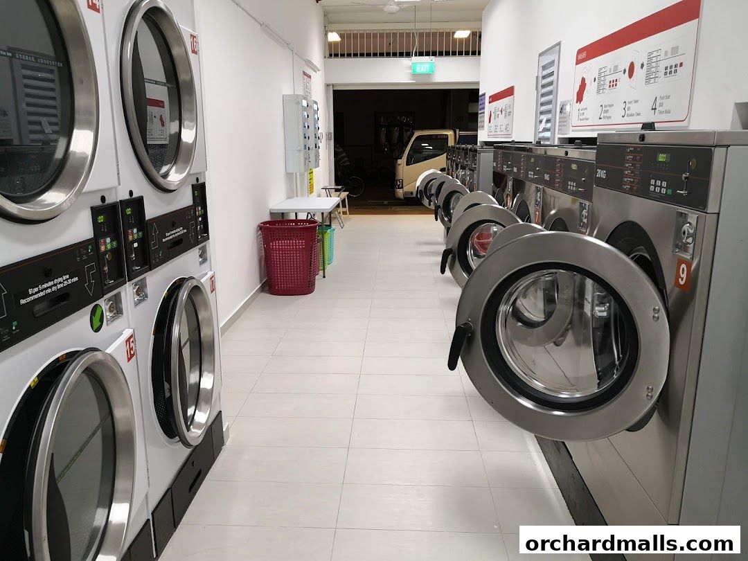 Interior view of a laundromat with rows of washing and drying machines.
