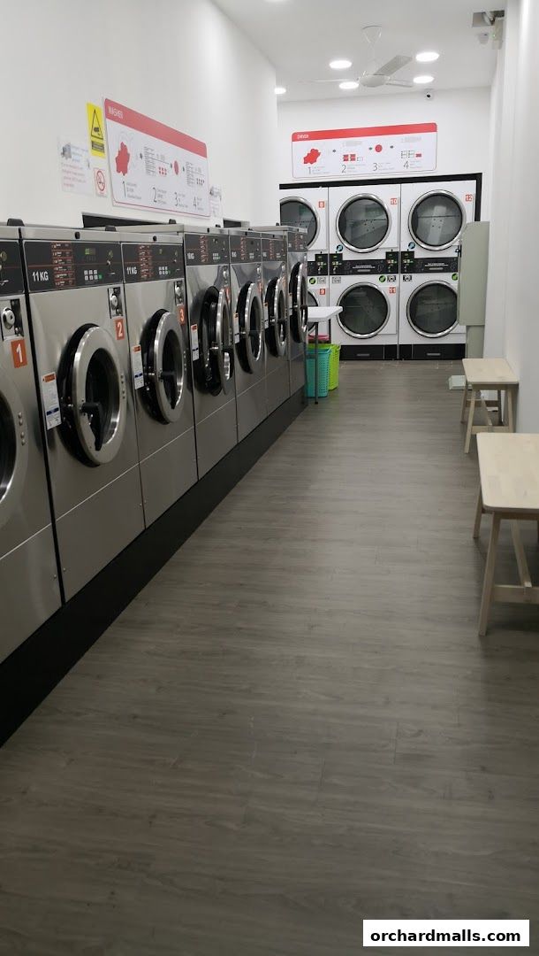 Interior view of a modern laundromat with rows of washing machines and dryers.