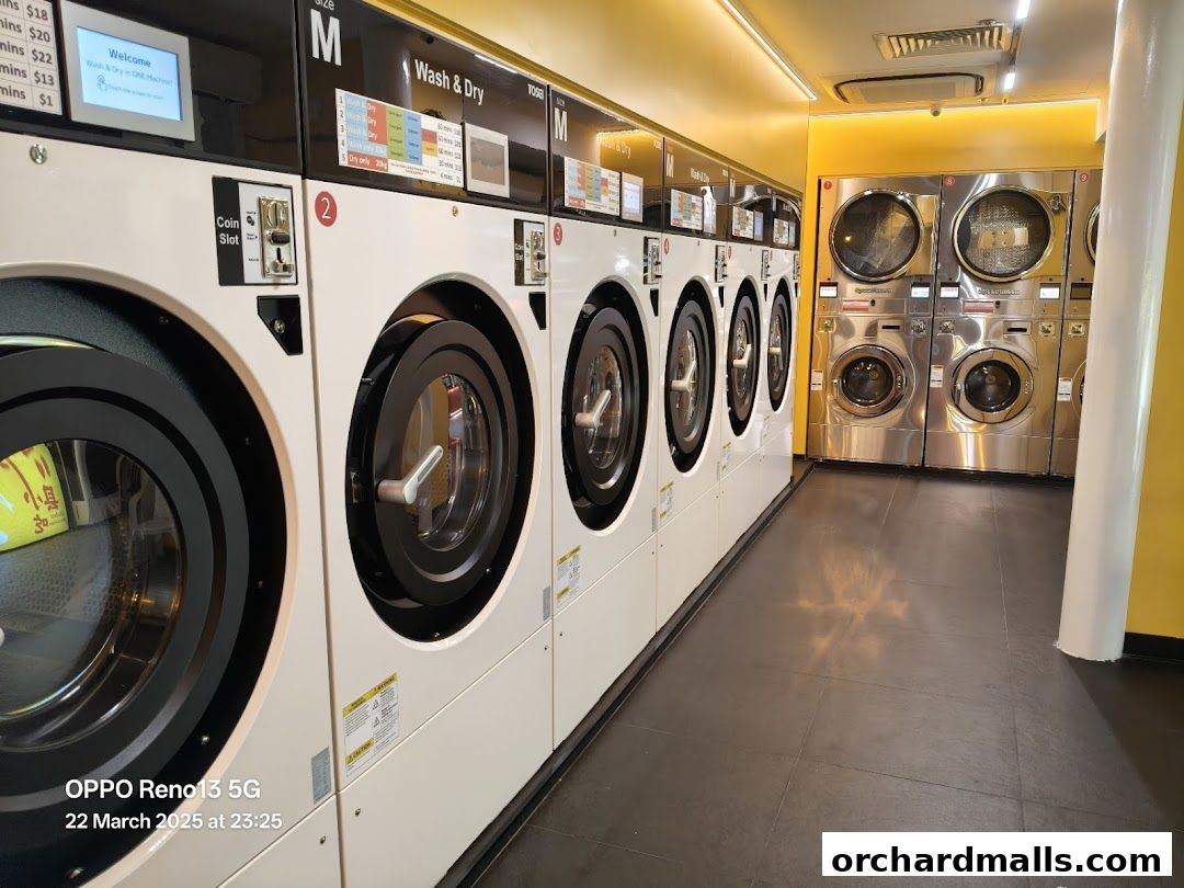 Interior of a laundromat with rows of washing machines and dryers.