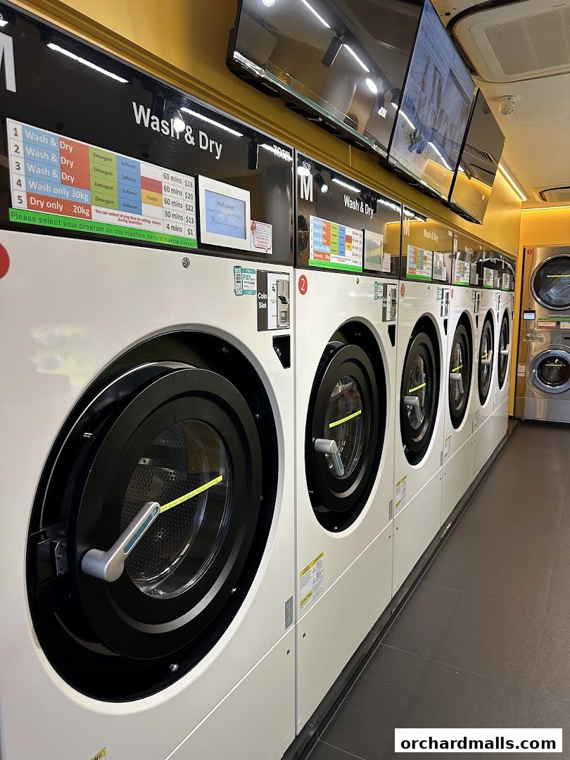 Row of modern washing and drying machines with a price list displayed.