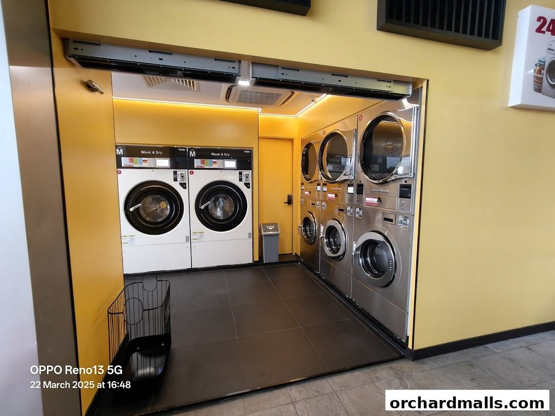 Interior view of Orchard Laundromat with multiple washing and drying machines.
