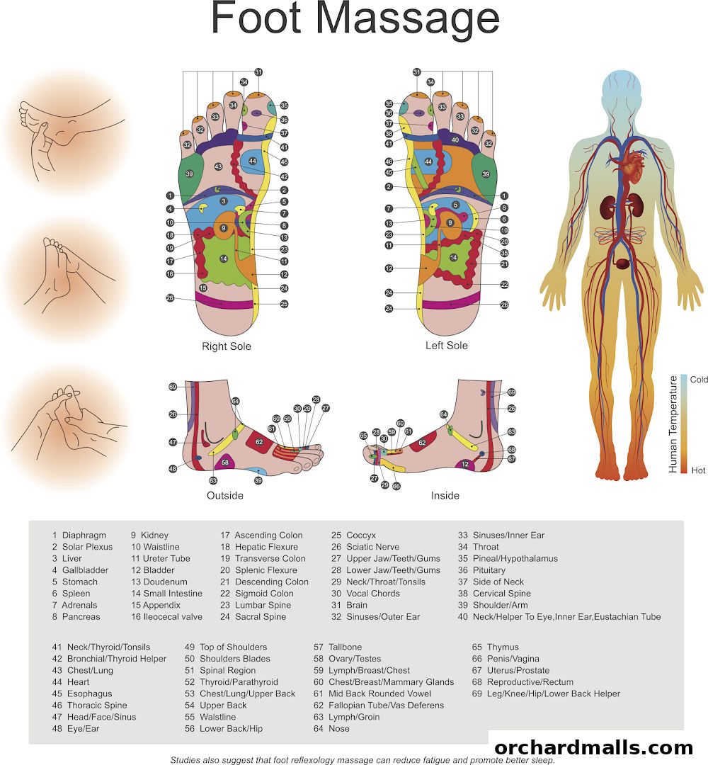 Diagrams and text explaining foot reflexology points and their corresponding body parts.