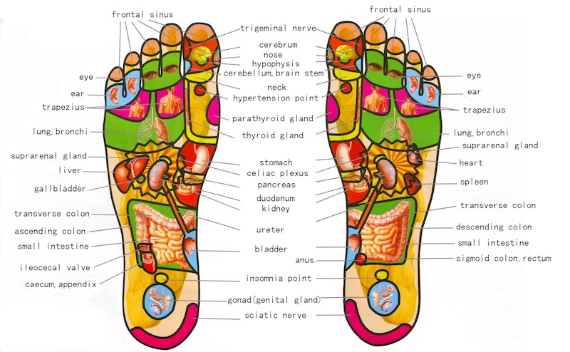 Orchard Massage by Fiji