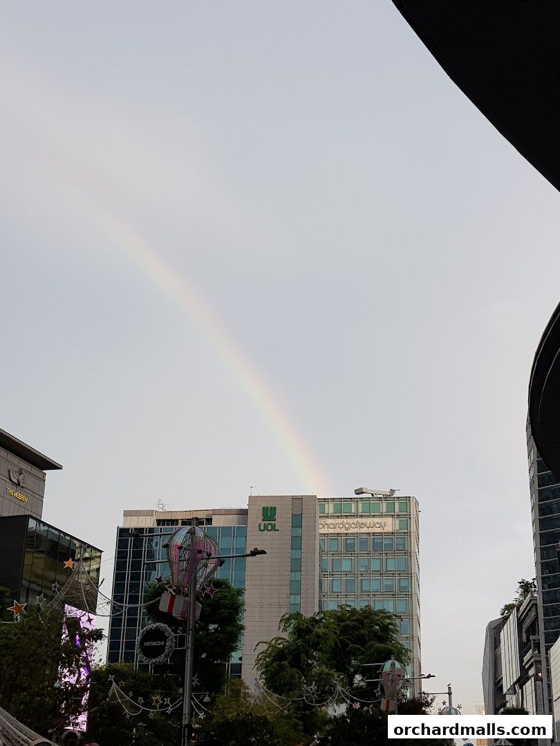 Orchard MRT Station NS22