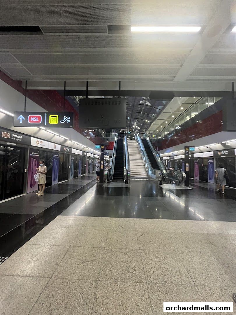 Orchard MRT Station NS22
