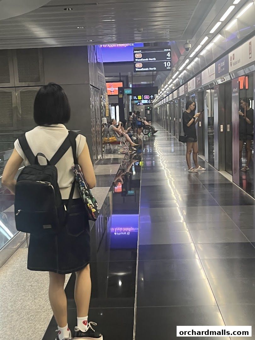 Orchard MRT Station NS22