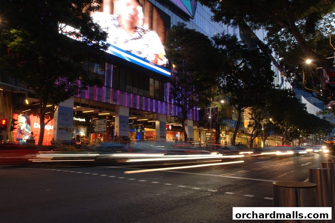 Orchard Road Business Association at Orchard Road