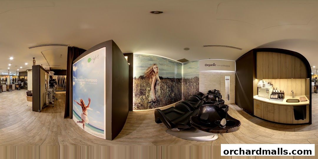 Interior view of a hair salon with styling stations, shampoo chairs, and product displays.