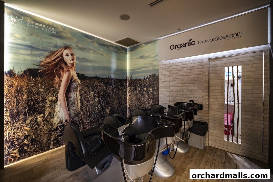 Interior of a hair salon with shampoo chairs and a nature-themed mural.