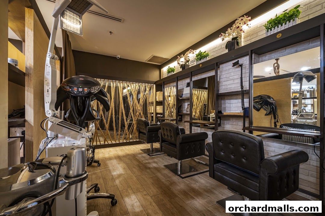 Interior of a hair salon with styling chairs, mirrors, and hair treatment equipment.