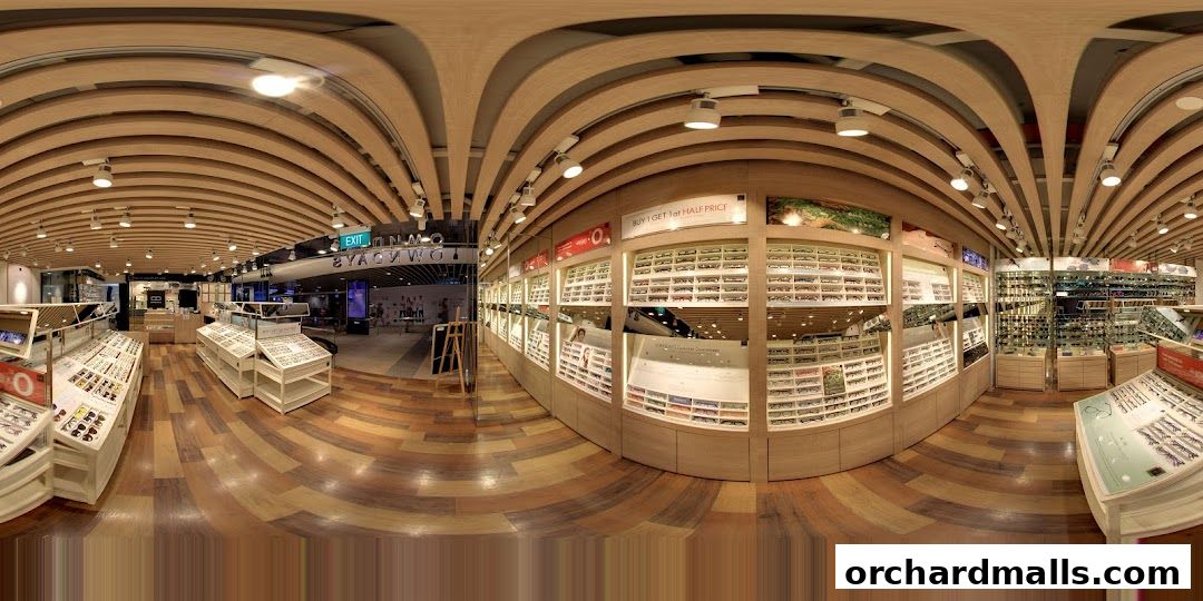 Interior view of an optical shop with extensive displays of eyeglasses and a modern, wooden-slatted ceiling.