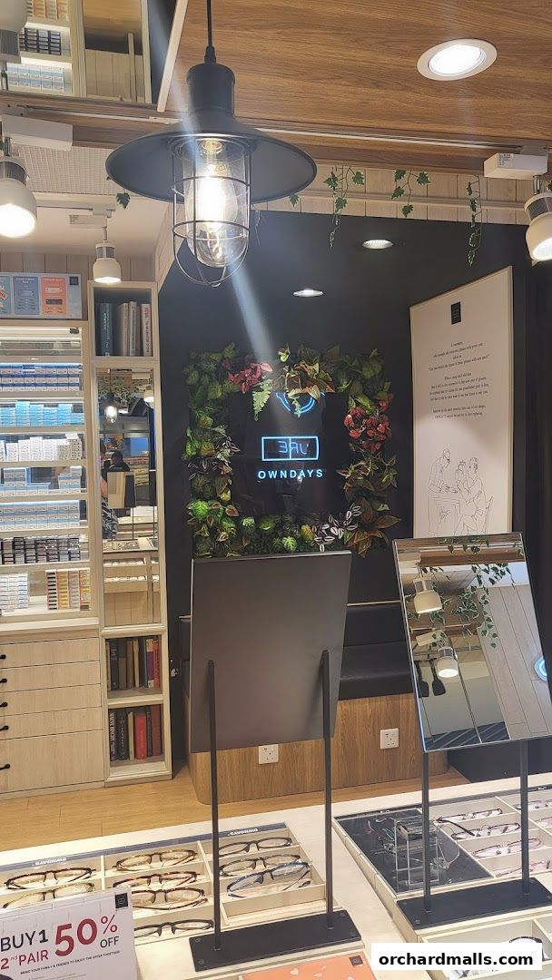 Interior of an optical shop with displays of eyeglasses and a decorative wall.