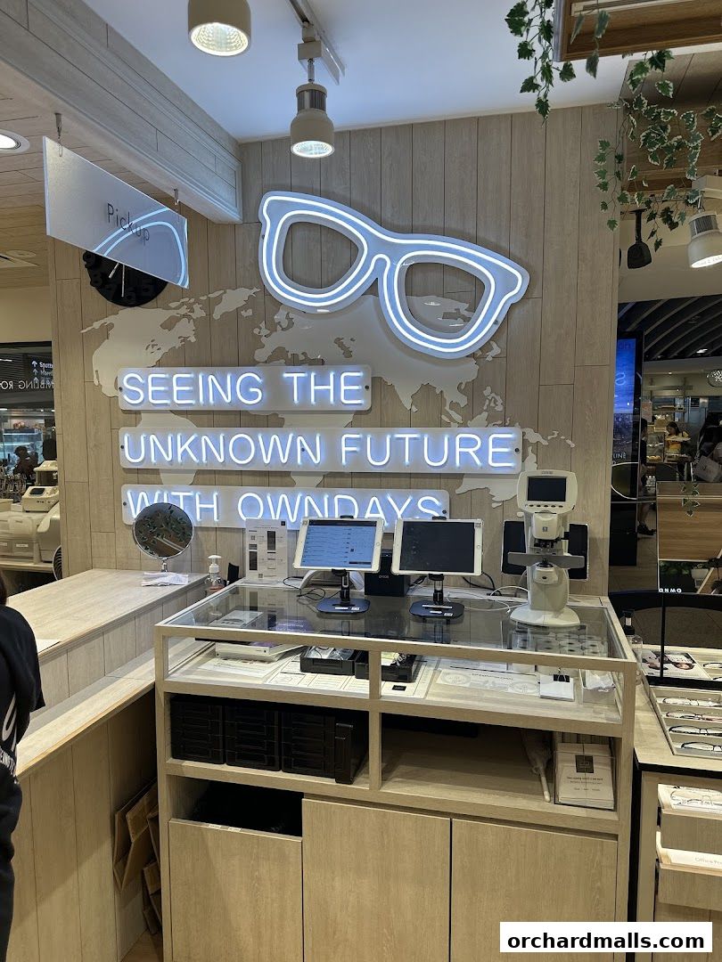 Interior of an optical shop with a neon sign of glasses and a slogan.