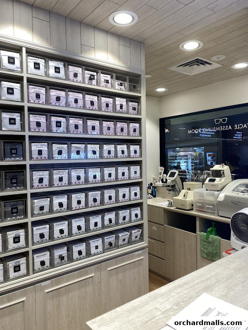 Interior of an optical shop with shelves displaying numerous eyewear frames.