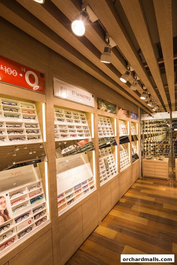 Interior view of an optical shop showcasing a wide selection of eyeglasses on display.