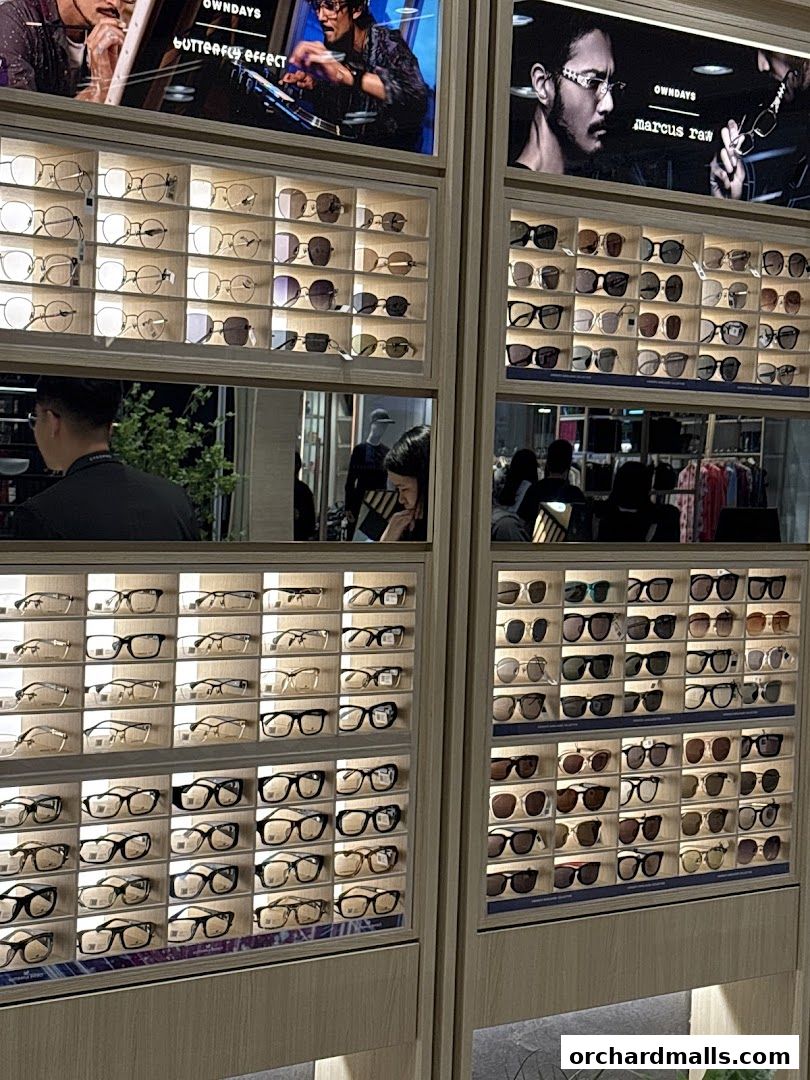 A display of various eyeglasses and sunglasses in a retail store.