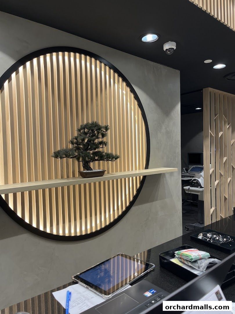 Interior of an optical shop with a decorative circular wooden panel and a bonsai tree.