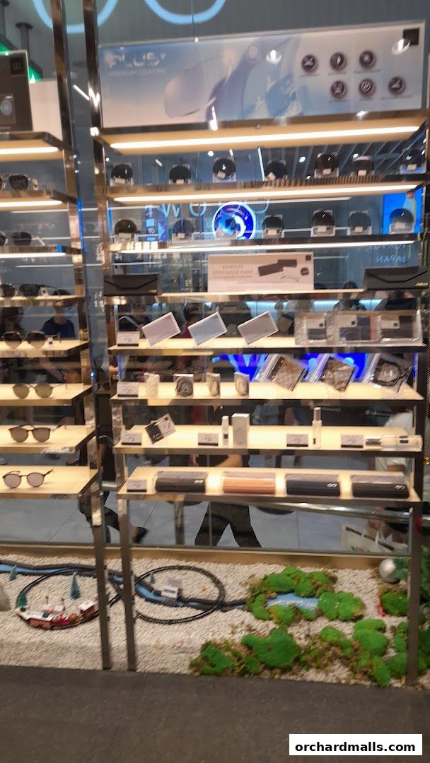 Eyewear shop display featuring sunglasses, glasses cases, and accessories on shelves.